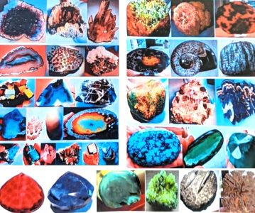 نمونه‌هایی از سنگ‌های سیاره زمین در موزه (Examples from planet earth rocks in the museum)